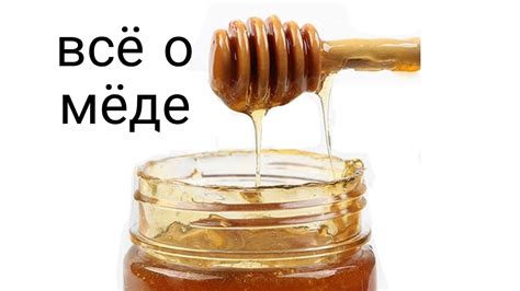 Какой мёд лучше для потенции